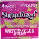 Ιδιοκτήτης Nootropic Gummy 3200mg - Mane Lion's, Reishi, Chaga, και Cordycep Nootropic Tripee Mushroom Blend (4, Καρπούζι)