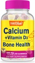 WellYes Calcium 500mg + Βιταμίνη D3 1000 IU (25 mcg) Gummies - Υγεία των οστών και μυών Supprt, Ανοσοποιητική υποστήριξη Gummy, μη ΓΤΟ, Χωρίς γλουτένη, Μίξη Γεύσης Φρούτων - 60 Gummies