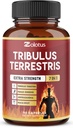 Κάψουλες Tribulus Terrestris με Ashwagndha, Panax Ginseng, Saw Palmetto, Maca, Shilajit - 90 Κάψουλες - 3 Μήνες Προμήθεια