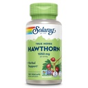 SOLARAY Hawthorn κάψουλες καρπού 1050 mg - Καταπραϋντική βοτανική υποστήριξη - συμπλήρωμα καρπού Hawthorne για τη συνολική υποστήριξη ευεξίας - ολόκληρο μούρο, Vegan, μη GMO, 60 ημέρες εγγύηση, 50 υπηρεσίες, 100 VegCaps