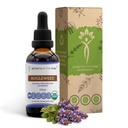 Bugleweed USDA Organic 