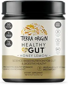 TERRA Origin Healthy Gut Powder (Money Lemon) 