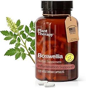 Φυτική Θεραπεία Boswellia Εκχύλισμα Κάψουλες Κατασκευασμένα στις ΗΠΑ 4 Μήνες Εφοδιασμού Υποστηρίζει Κοινή Ευελιξία, Άνεση, Καταπραΰνει Δυσφορία και Υγιεινή Δερμάτινα Συμπληρώματα για Γυναίκες & Άνδρες 120 Χορτοφαγικές Κάψουλες