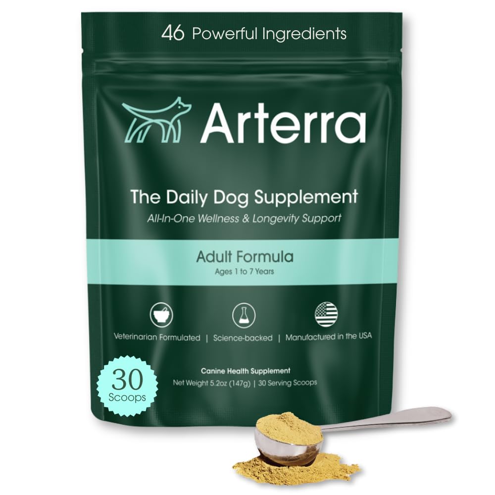 Adult Dog Powder Supplement & Food Topper – 46 Συστατικά για το έντερο, ανοσοποιητικό και εγκεφαλική υγεία – Καθημερινή μακροβιότητα πολυβιταμίνη για όλη την ευεξία του σώματος 