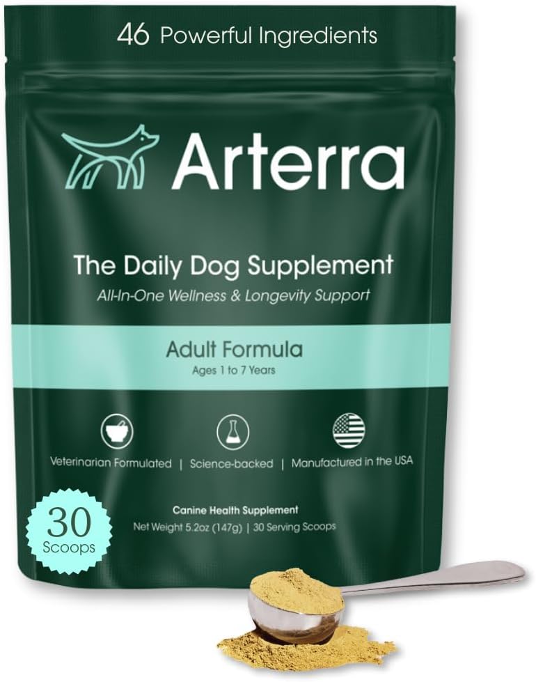 Adult Dog Powder Supplement & Food Topper – 46 Συστατικά για το έντερο, ανοσοποιητικό και εγκεφαλική υγεία – Καθημερινή μακροβιότητα πολυβιταμίνη για όλη την ευεξία του σώματος 