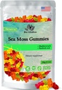 Sea Moss Gummies - Ιρλανδική θάλασσα Μος ωμό Βιολογικός, Bladderwrack, Burdock Root. Περιέχει Sea Moss Gel και σκόνη. Ανοσοποιητική ενίσχυση (1, αρχικό)