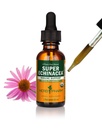 Herb Pharm Super Echinacea® Liquid Extract: USDA Organic Immune Support for Year-Round | Fast-Absorbing Echinacea Tincture, 4 Plant-Part Blend: Root, Leaf, Flower & Seed | Up to ~3 Week Supply, 1 oz*