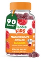 Lifeable Magnesium Gummies for Kids | 900mg Magnesium Citrate | Great Tasting Kids Magnesium Supplement | Gluten Free Muscle Support and Stress Relief Chewable | 90 Gummies
