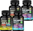Sea Moss Black Seed Oil Ashwagandha Ginger Κάψουλες,Συμπλήρωμα με Turmeric και Ginger συμπλήρωμα Bladderwrack Burdock Root Organic, ACV Black Seed Oil - 240 Sea Moss Κάψουλες
