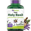 Tnvitamins Holy Basil Κάψουλες (1.600 mg Ισοδύναμο - 240 κάψουλες) 