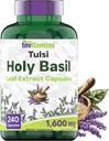 Tnvitamins Holy Basil Κάψουλες (1.600 mg Ισοδύναμο - 240 κάψουλες) 