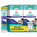 GuruNanda Hydramate Hydration Support Drink Mix - Ηλεκτρολυτικά Powder Packets για Αφυδάτωση, Άσκηση & Ενέργεια - Όχι Προστιθέμενα γλυκαντικά, Μη ΓΤΟ, Φυσικό άρωμα λεμόνι Lime - 48 Count (0.56 oz Κάθε)