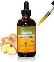 USDA Organic Ginger Root Extract*: Digestion & Circulatory Support | Ginger Tincture for Occasional Nausea | Non-Bitter Vegan Digestive Supplement | 4 Oz, Up to 3 Months Supply