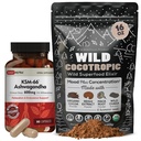 DailyNutra KSM 66 Ashwagandha (90 Capsules) and Mushroom Cacao Mix (16oz) Bundle for Relaxation and Focus