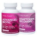 Vital Plan Immune Support Συμπληρώματα από τον Dr. Bill Rawls – Immune Boost Bundle w/Japanese Knotweed, Cat’s Claw, Chinese Skullcap & Reishi Mushroom