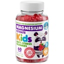 DR. MORITZ Sugar-Free Calm Magnesium Gummies for Kids and Adults - Non-GMO Magnesium Citrate Gummies - Raspberry Flavor - 1-Pack (60 Count)