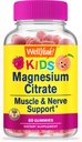 WellYeah Magnesium Citrate Gummies for Kids - Chewable Stress Relief Supplement for Children - Natural Calm, Mood Support, Non-GMO, Gluten Free - Natural Sourced Flavors - 60 Gummies