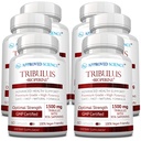 Εγκεκριμένη επιστήμη Tribulus Terrestris - 360 κάψουλες - Ενισχύει την τεστοστερόνη, ενισχύει την αθλητική απόδοση, υποστηρίζει την ανάπτυξη των μυών και την επισκευή - 95% Φουροστανόλη Σαπωνίνες - Bioperine - Vegan - 6 μπουκάλια