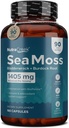 Sea Moss  Προβιοτική & ανοσοποιητική υποστήριξη 