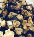 Organic Jerusalem Artichoke Tubers (Helianthus tuberosus) - Sunchokes, Sunroot ή Jerusalem Artichokes for Planting or Eating - 5 Tubers by Smoke Camp Crafts