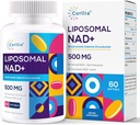 Λιποσωμική NAD+ 500mg με TMG 250mg Softgels, Νικοτιναμίδη Ριβοζίτης Εναλλακτική, Πραγματική NAD+ Συμπλήρωμα, 60 Υπηρεσίες
