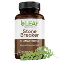 B’Leaf Nature Chanca Piedra Stone Breaker, 100 κάψουλες, 1000mg – Παραδοσιακή βοτανική Νεφρική Υποστήριξη – Μη ΓΤΟ, Vegan, Χωρίς γλουτένη ουροποιητική & ηπατική ευεξία