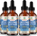2000MG Liposomal Glutathionone Liquid, 98% Απορρόφηση, Ενεργή Μορφή L-Γλουταθιονόνη συμπλήρωμα, Vegan Friendly, Ισχυρό Αντιοξειδωτικό Σύμπλεγμα για το ανοσοποιητικό σύστημα, Γήρανση Άμυνας, Detox,8 FL.OZ