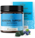 HERBAMAMA Adrenal Support Gummies - καθαρό Adrenal Complex συμπλήρωμα για τις γυναίκες με ρίζα Ashwagandha, Rhodiola Rosea & μαγνήσιο - Vegan, μη GMO - 60 Pectin-based Blueberry-Flavored Chews