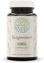 HerbEra Bugleweed 60 Κάψουλες, 400 mg, Φτιαγμένα με Bugleweed (Lycopus Virginicus) Αποξηραμένα Βότανα (60 κάψουλες)