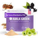 Amla Powder & Immunity Blend Superfood Supplement with Elderberry, 20x Ultra συμπυκνωμένο Amla, ανοσοποιητική υποστήριξη, Φτιαγμένο με Ginger, Κανέλα, μέντα, ινδικά φραγκοστάφυλα, ασυλία, 30 υπηρεσίες