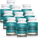 2400 MG Liposomal Glutathion Softgels, Max Απορρόφηση, Active Form L-Glutathione Μειωμένη (GSH), με Υαλουρονικό οξύ, ρεσβερατρόλη, Master Αντιοξειδωτικά για Detox, Εγκέφαλο, ανοσοποιητικό σύστημα, 600 Softgels