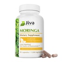 Jiva Botanicals Moringa Φύλλα Εκχύλισμα κάψουλες - Κατασκευασμένες από Moringa Leaf σκόνη και Oleifera συμπλήρωμα για ανοσοποιητική και κανονική κοινή υποστήριξη - 90 κάψουλες (πακέτο του 1)