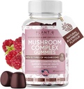 Mushroom Gummies Premium Supplement [10 Mushroom Complex Extract] Πεντανόστιμο & γρήγορο Lion Action’s Mane, Reishi, Shiitake Nootropic Brain Support, Immune Support, Mood & Relaxation, 60 Chews