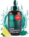 Υγρές σταγόνες χλωροφύλλης με Spirulina για το νερό - Πλήρης δύναμη ενέργειας, ευεξίας, συμπλήρωμα υποστήριξης ανοσοποιητικών - 50mg υγρό χλωροφύλλης, 12,5mg Spirulina - λεμόνι άρωμα Detox Ποτό - 2oz, 118 σερβιέτες