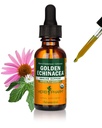 Βότανο Pharm Certified Organic Golden Echinacea Liquid Extract for Immune System Support - 1 Ουγγιά (DGOLDEN01)