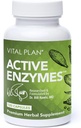Vital Plan Active Enzymes Supplement by Dr. Bill Rawls - Digestive Enzymes for Gut Health & Digestion - Protease, Bromelain, Lactase, Amylase & Lipase (120 Κάψουλες)