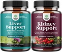 Pandle of Liver Cleanse Detox & Repair - Silymarin Milk Thistle Συμπληρώματα με Dandelion Root, Choline, Beetroot & Artichoke Extract και Παιδική Υποστήριξη με Uva Ursi, Stinging Nettle & Astragalus