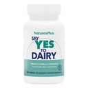 Natures Plus Say Yes to Dairy - 50 Μασώμενα Δισκία - Φυσικό συμπλήρωμα ενζύμων Lactase, Μέγιστης Δύναμης Δυναμικό, Ανακούφιση δυσανεξίας λακτόζης - Χωρίς γλουτένη - 50 Σερβιέτες