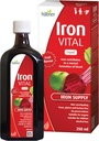 Hübner Iron Vital Liquid Iron Supply Plus Βιταμίνη C, Συμπλήρωμα διατροφής για ενήλικες και παιδιά, Vegan και χωρίς γλουτένη, Fruit Flavor, μπουκάλι 250 ml, 25 σερβιέτες