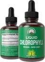 Υγρές σταγόνες χλωροφύλλης - Ultra High Purity, Alcohol Free, Non-GMO, Gluten Free Liquid Chlorophyl Drops Supplement. Πάρε με το νερό. Εσωτερικό Αποσμητικό + Δερμάτινη Φροντίδα, Ανοσοποιητικό, και Πεπτικό Υποστήριξη