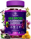 Ιρλανδέζικης θάλασσας Moss Gummies – Bladderwrack Burdock Root Elderberry Vitamin C & Zinc – 60 Vegan Seamoss Gummy Bears για Ενήλικες Παιδιά Άνδρες Γυναίκες – Multimineral Elderberry Vitamins