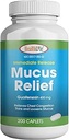 HealthLife® Mucus Relief Guaifenesin Caplets 400 mg, άμεση απελευθέρωση (300 Count) ταχείας δράσης προσδοκώμενο, λεπτό και χαλαρό Mucus, Relieves στηθάγχη Συμφόρηση, βήχας, κρύο και γρίπη