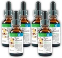 Morter Trace Minerals in Colloyal Ανάρτηση (6 Pack) Morter HealthSystem Best Process Alkaline — Nutrient Dense Trace Elements, Fulvic Minerals & Amino Acids