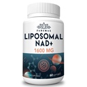 1600 mg Liposomal NAD Supplement, 98% Pure NAD+ Supplement, Superior Aπορρόφηση, Εναλλακτική στη Νικοτιναμίδη Ριβοζίδιο ή NADH για την ενίσχυση της NAD+ για τη γήρανση της άμυνας, της ενέργειας, της μακροζωίας,60 Softgels
