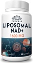 1600 mg Liposomal NAD Supplement, 98% Pure NAD+ Supplement, Superior Aπορρόφηση, Εναλλακτική στη Νικοτιναμίδη Ριβοζίδιο ή NADH για την ενίσχυση της NAD+ για τη γήρανση της άμυνας, της ενέργειας, της μακροζωίας,60 Softgels