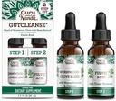 GuruNanda Gutcleanse 2-Step Kit - Συμπλήρωμα διατροφής για να βοηθήσει με την πέψη - Blend Fulvic Acid, Wormwood, Clove & Neem Extract, 2x1 FLOz