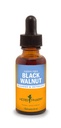 Herb Pharm Black Walnut Liquid Extract Drops for Cleansing and Detoxifying, 1 Oz
