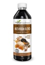 Nootropic Μανιτάρια, Lions Mane, συμπλήρωμα μανιταριών Lion's Mane Mushroom, ψυχική σαφήνεια και εστίαση Συμπληρώματα, Ανοσολογική Υποστήριξη, Mushroom Blend Extract, Lion Mane Mushroom Supplement - Βοτανική Καλοσύνη 12oz