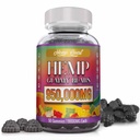Hemp Gummies Neuropathy Nerve Support Supplement High Potency - Natural Health Pure Extra Strength with Hemp Oil Extract Vegan Edibles for Adults Vegan, Low Sugar, Made in USA