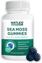 NATLEO USA Sea Moss Gummies with Elderberry, Black Seed Oil & Burdock Root - Vegan, Gluten-Free, Non-GMO, 1750mg - Supports Daily Wellness - Made in USA (120 Count)